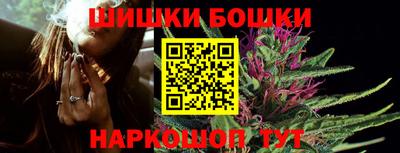 индика Гусиноозёрск