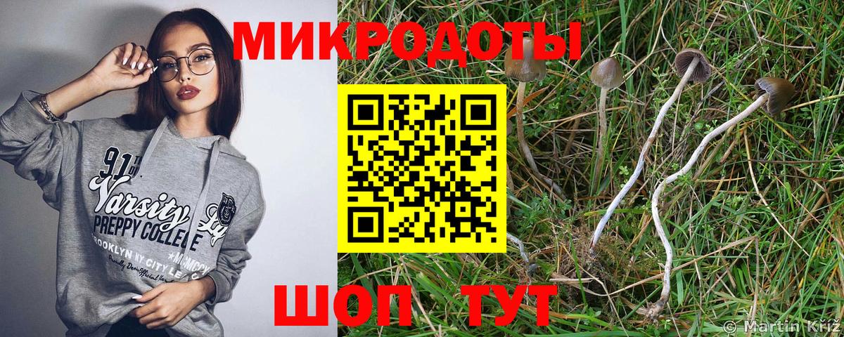 Михайловка  Псилоцибиновые грибы мухоморы  Вход с VPN 