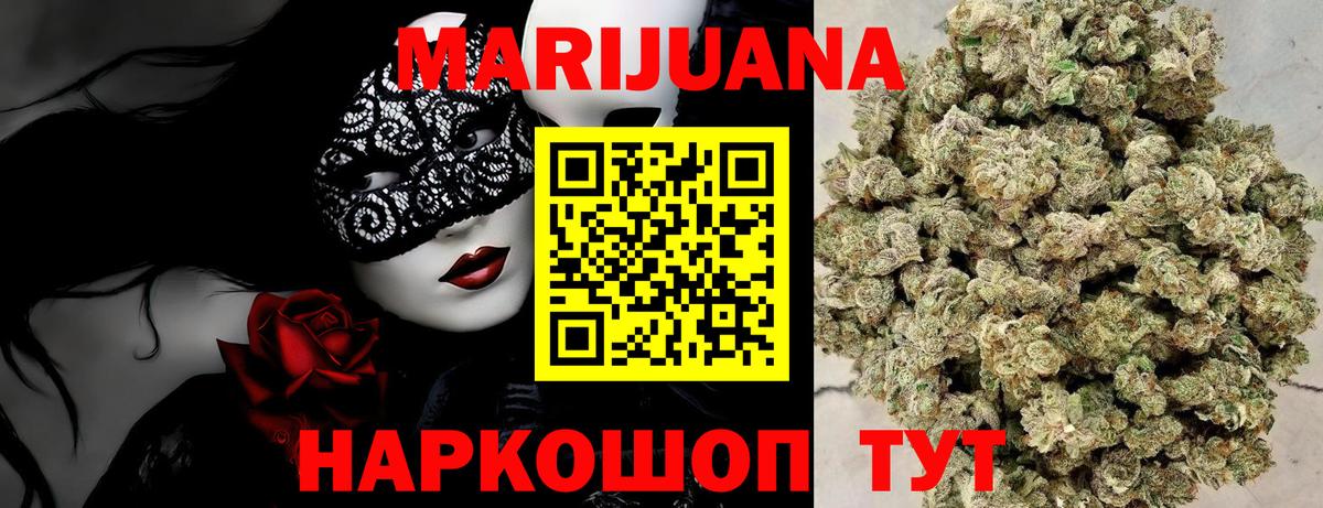 Канабис сатива Михайловка